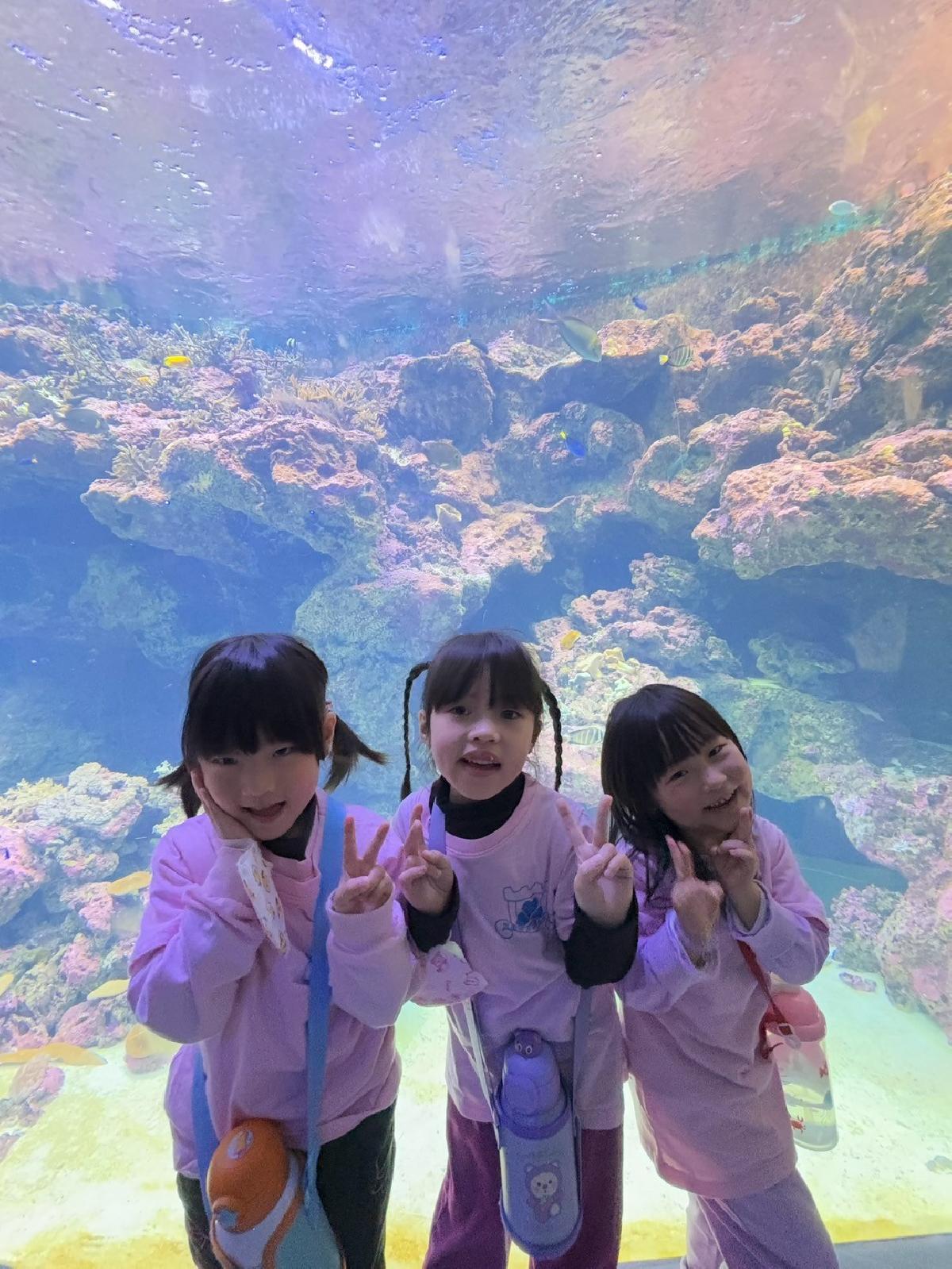 line_album_2025321_250321_48 line_album_2025321_250321_48