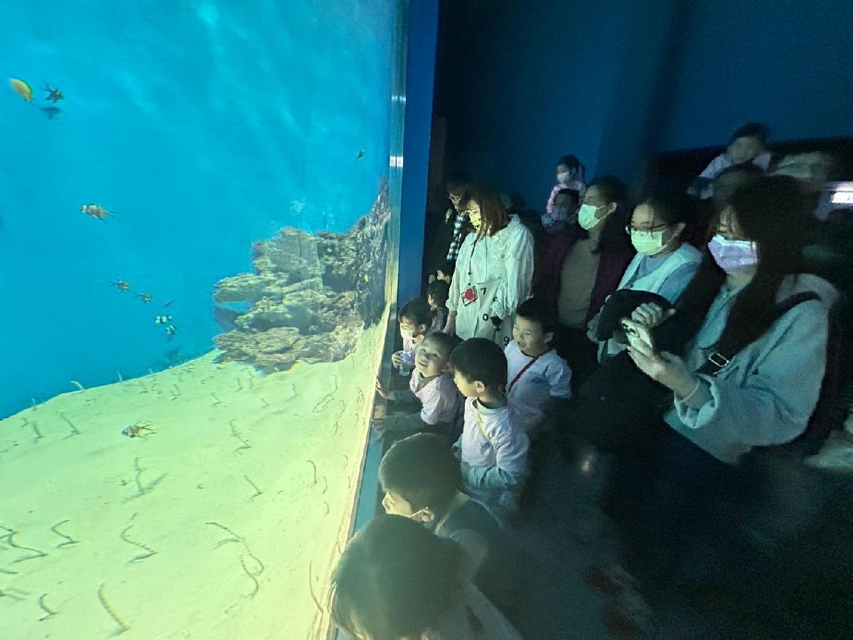 line_album_海洋館321_250321_24 line_album_海洋館321_250321_24
