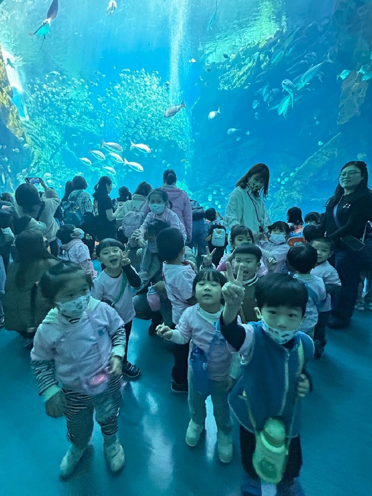 line_album_海洋館321_250321_32 line_album_海洋館321_250321_32