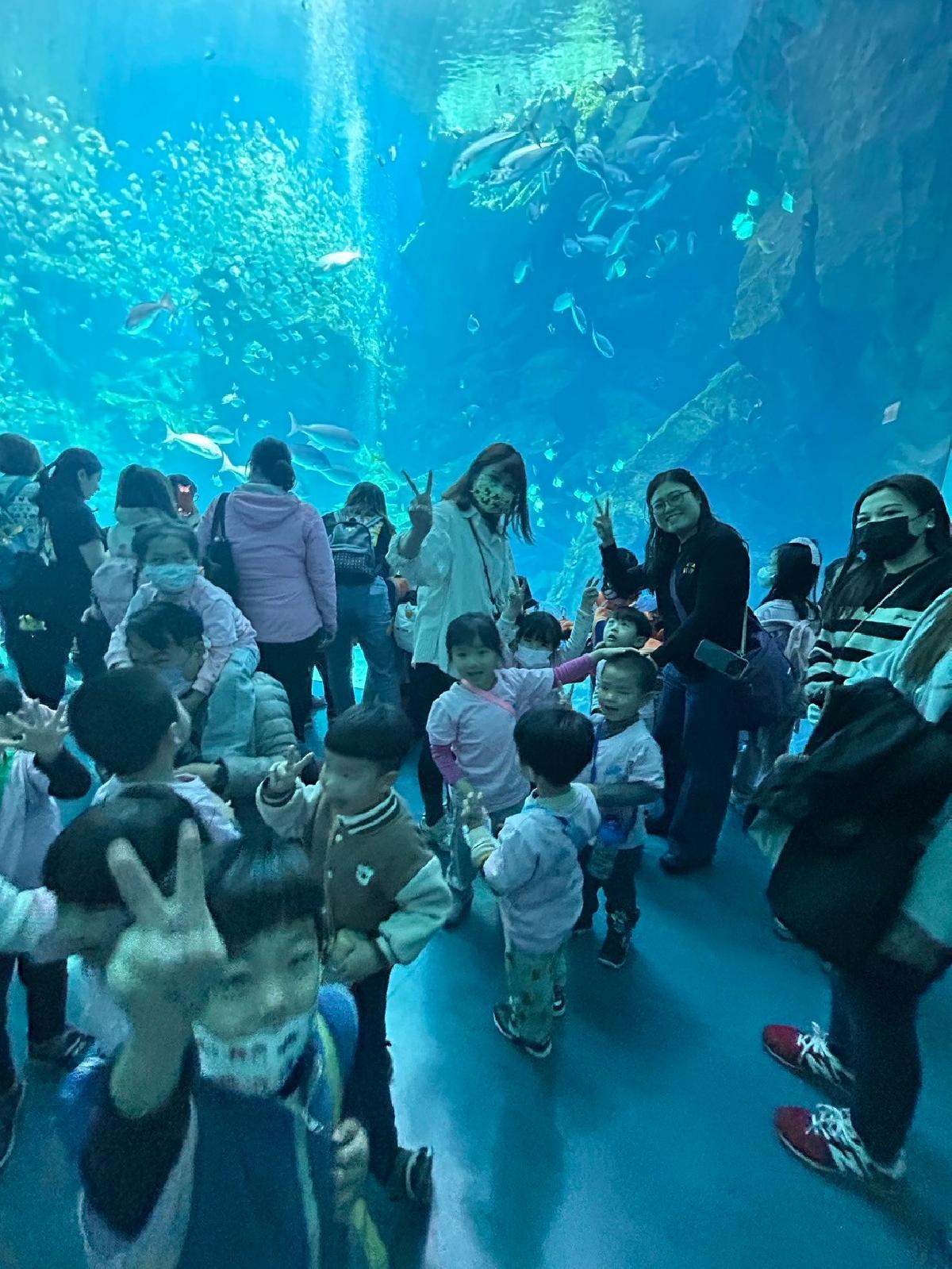 line_album_海洋館321_250321_35 line_album_海洋館321_250321_35