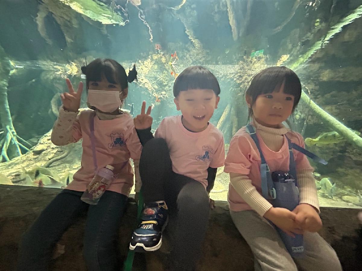 line_album_海洋館321_250321_94 line_album_海洋館321_250321_94
