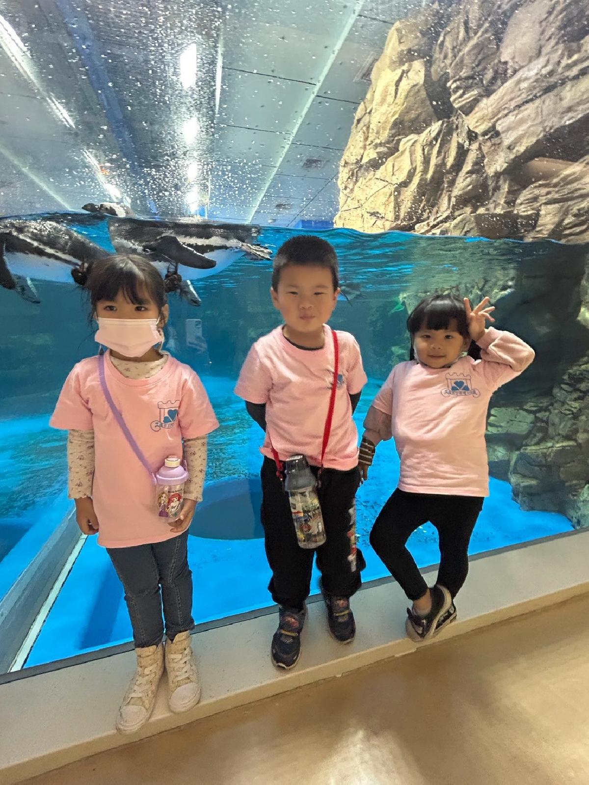 line_album_海洋館321_250321_192 line_album_海洋館321_250321_192